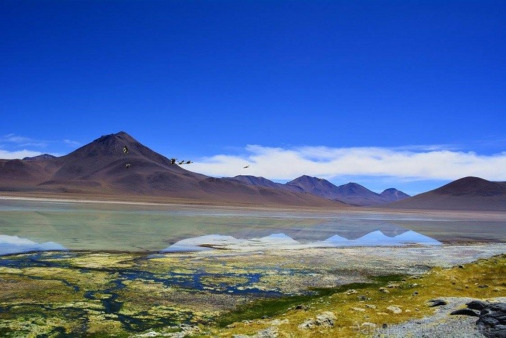 Laguna Blanca gan nosacīti ir balts, drīzāk balti bezkrāsains. Krāsa šim nav tā interesantākā, bet skats gan šeit ir pa rubli. Apkārtējie vulkāni spog Laguna Blanca gan nosacīti ir balts, drīzāk balti bezkrāsains. Krāsa šim nav tā interesantākā, bet skats gan šeit ir pa rubli. Apkārtējie vulkāni spog 140738