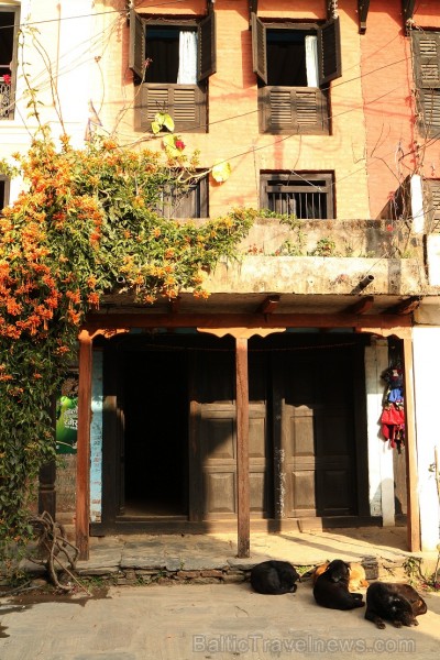 Newari kultūras mantojums. Bandipur, Nepāla 143960