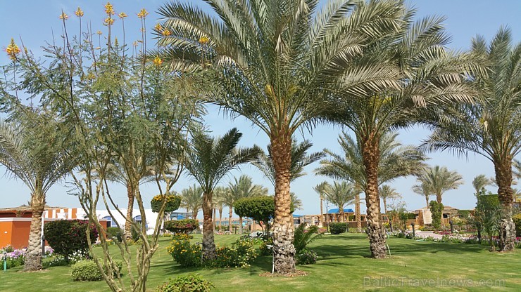 Travelnews.lv redakcija sadarbībā ar tūroperatoru GoAdventure iepazīst Hurgadas viesnīcas «Sentido Mamlouk Palace» un «Sunrise Select Garden Beach Res Travelnews.lv redakcija sadarbībā ar tūroperatoru GoAdventure iepazīst Hurgadas viesnīcas «Sentido Mamlouk Palace» un «Sunrise Select Garden Beach Res 144941