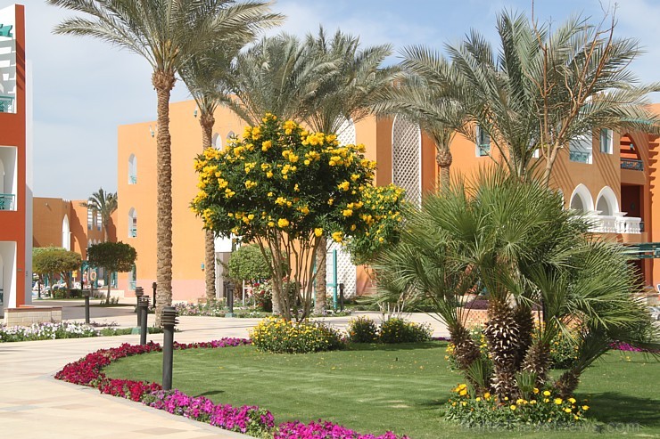 Travelnews.lv redakcija sadarbībā ar tūroperatoru GoAdventure iepazīst Hurgadas viesnīcas «Sentido Mamlouk Palace» un «Sunrise Select Garden Beach Res Travelnews.lv redakcija sadarbībā ar tūroperatoru GoAdventure iepazīst Hurgadas viesnīcas «Sentido Mamlouk Palace» un «Sunrise Select Garden Beach Res 144962