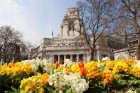Londonā ienāk pavasaris