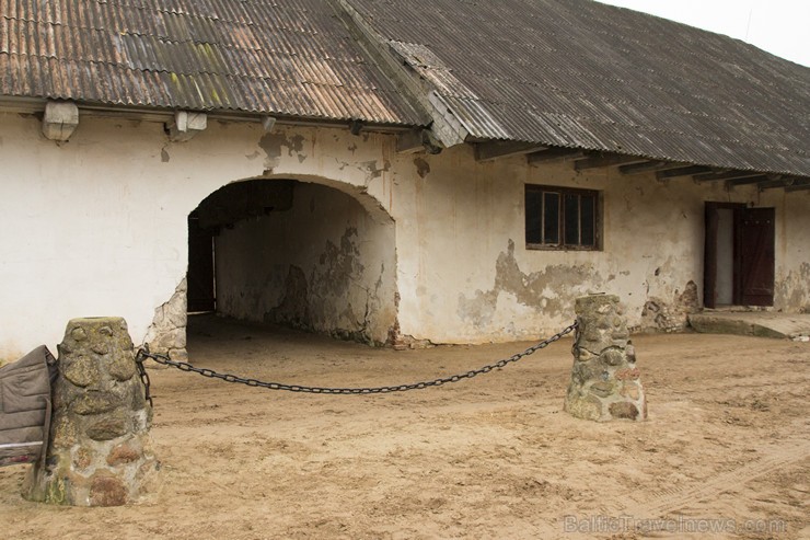Burtnieku zirgaudzētava ir vecākā zirgaudzētava Latvijā 147543