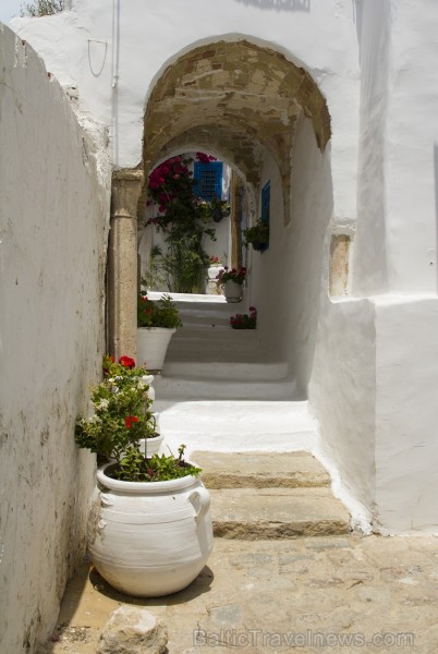 Travelnews.lv redakcija apskata populāro Sidi Bou Said pilsētu Tunisijā 150619