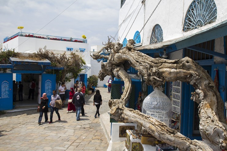Travelnews.lv redakcija apskata populāro Sidi Bou Said pilsētu Tunisijā 150622