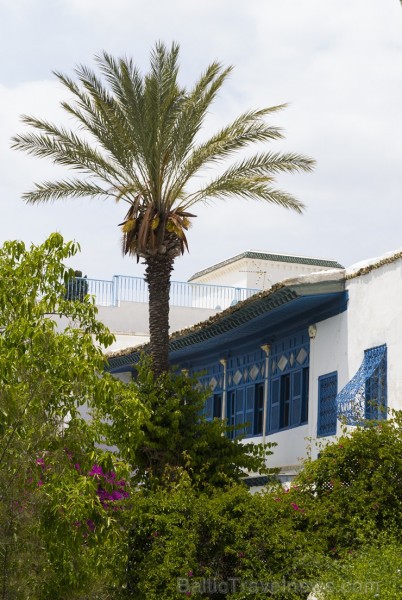 Travelnews.lv redakcija apskata populāro Sidi Bou Said pilsētu Tunisijā 150629