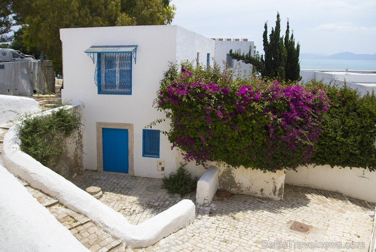 Travelnews.lv redakcija apskata populāro Sidi Bou Said pilsētu Tunisijā 150631