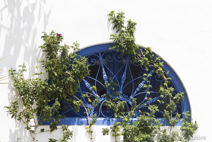 Travelnews.lv redakcija apskata populāro Sidi Bou Said pilsētu Tunisijā 150649