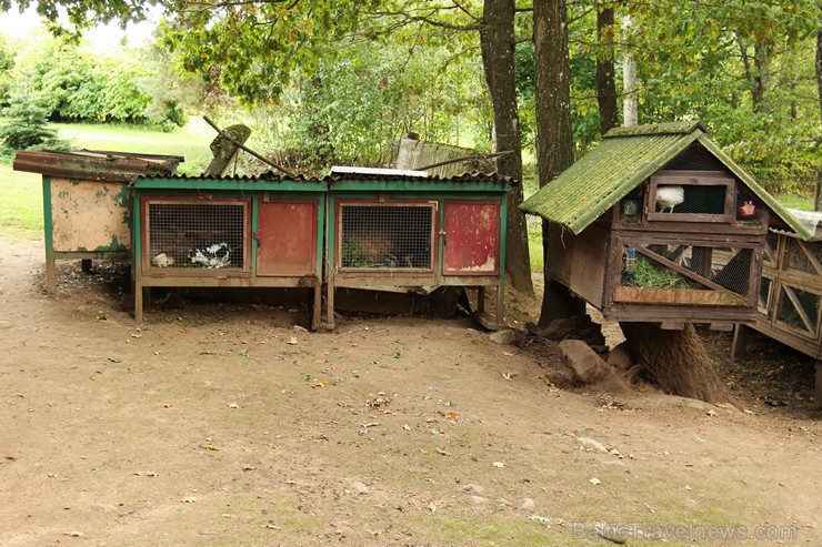 Travelnews.lv apskata mini zoo «Bērzkalni» 162143
