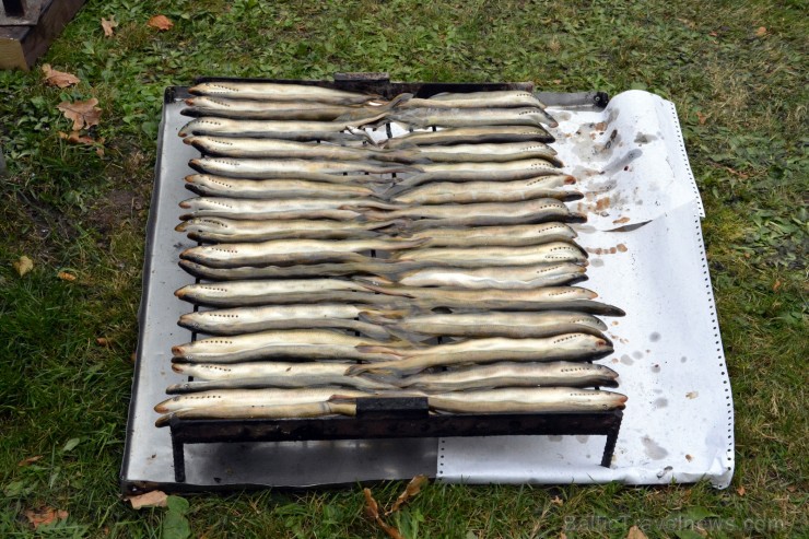 Tradicionālais Simjūda gadatirgus notiek jau 20 gadus 162810