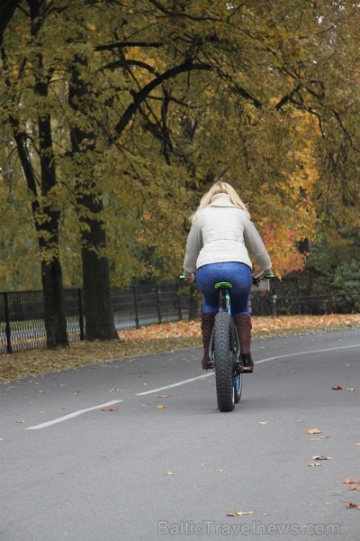 Travelnews.lv redakcija iepazīst emocionāli spēcīgāko velosipēdu 5 dienu testa braucienā - Scott BIG ED, ko piedāvā velosipēdu veikals Hawaii Express Travelnews.lv redakcija iepazīst emocionāli spēcīgāko velosipēdu 5 dienu testa braucienā - Scott BIG ED, ko piedāvā velosipēdu veikals Hawaii Express 163378