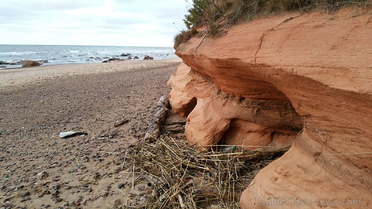 Viens no skaistākajiem Latvijas pārgājiena maršrutiem Vidzemes jūrmalā ir Tūja - Veczemju klintis 167002