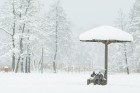 Travelnews.lv izbauda ziemas priekus Limbažu Lielezera dabas takā