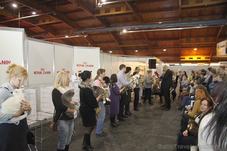 Ķīpsalā kupls apmeklētāju skaits divas dienas pulcējas lielākā mājdzīvnieku izstādē Baltijā «PetExpo 2016» Ķīpsalā kupls apmeklētāju skaits divas dienas pulcējas lielākā mājdzīvnieku izstādē Baltijā «PetExpo 2016» 170826