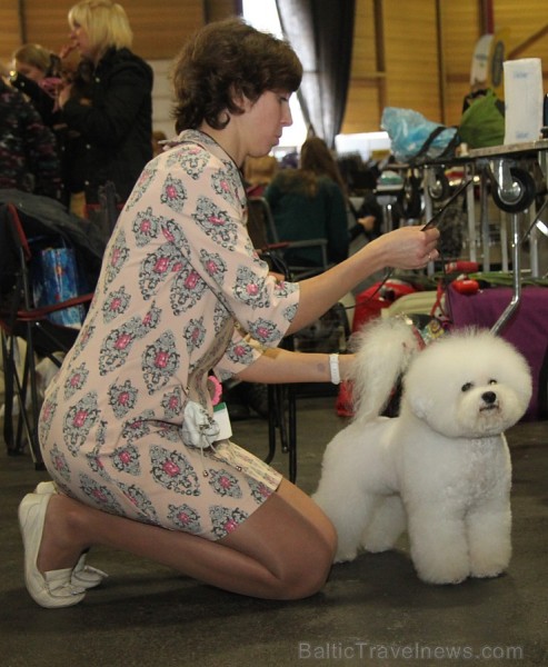 Ķīpsalā kupls apmeklētāju skaits divas dienas pulcējas lielākā mājdzīvnieku izstādē Baltijā «PetExpo 2016» Ķīpsalā kupls apmeklētāju skaits divas dienas pulcējas lielākā mājdzīvnieku izstādē Baltijā «PetExpo 2016» 170843