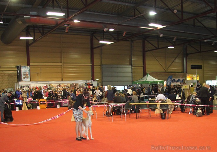 Ķīpsalā kupls apmeklētāju skaits divas dienas pulcējas lielākā mājdzīvnieku izstādē Baltijā «PetExpo 2016» Ķīpsalā kupls apmeklētāju skaits divas dienas pulcējas lielākā mājdzīvnieku izstādē Baltijā «PetExpo 2016» 170862