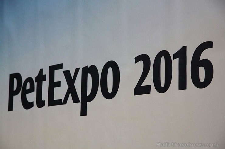 Ķīpsalā kupls apmeklētāju skaits divas dienas pulcējas lielākā mājdzīvnieku izstādē Baltijā «PetExpo 2016» Ķīpsalā kupls apmeklētāju skaits divas dienas pulcējas lielākā mājdzīvnieku izstādē Baltijā «PetExpo 2016» 170867