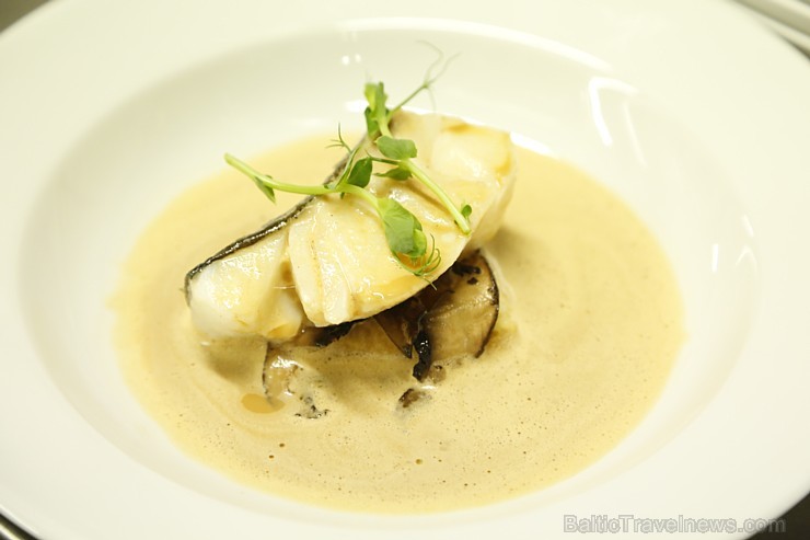 2016. gada 28. aprīlī «Vīna studija» gardēžiem dāvina burvīgas vakariņas ar Michelin šefpavāru Jeremi Fontin no Francijas 2016. gada 28. aprīlī «Vīna studija» gardēžiem dāvina burvīgas vakariņas ar Michelin šefpavāru Jeremi Fontin no Francijas 173528