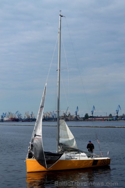 Biedrība Biedrība
