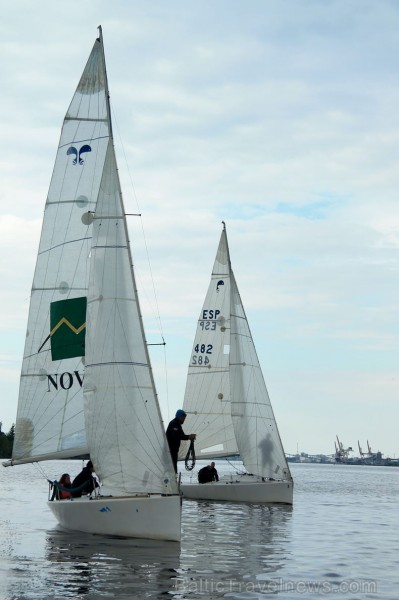 Biedrība Biedrība