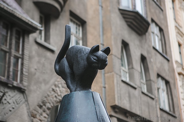 Rīgas svētku laikā trīs dienu garumā pilsētas ielās, skvēros, parkos un laukumos apmeklētāji baudīja krāšņu un daudzveidīgu vizuālo, muzikālo un arī s Rīgas svētku laikā trīs dienu garumā pilsētas ielās, skvēros, parkos un laukumos apmeklētāji baudīja krāšņu un daudzveidīgu vizuālo, muzikālo un arī s 181716