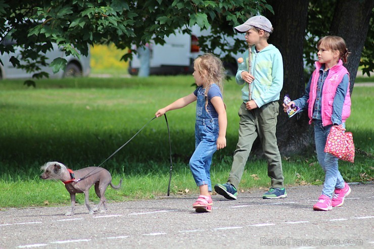 Jelgavā aizsākta apsveicama tradīcija - vērienīgi nosvinēt ANO Ģenerālās asamblejas izziņoto Starptautisko Jaunatnes dienu Jelgavā aizsākta apsveicama tradīcija - vērienīgi nosvinēt ANO Ģenerālās asamblejas izziņoto Starptautisko Jaunatnes dienu 181998