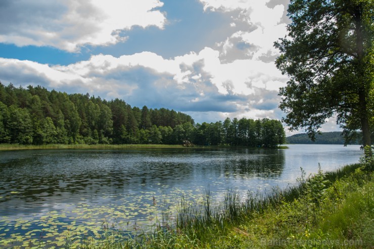 Par godu Lietuvas Republikas neatkarības dienai - iepazīsti valsts dabu! Vai vari pateikt, kur fotogrāfija ir uzņemta? Foto: Jānis Trautmanis Par godu Lietuvas Republikas neatkarības dienai - iepazīsti valsts dabu! Vai vari pateikt, kur fotogrāfija ir uzņemta? Foto: Jānis Trautmanis 192919