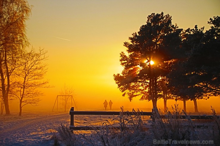 winter-1426551_960_720 193117