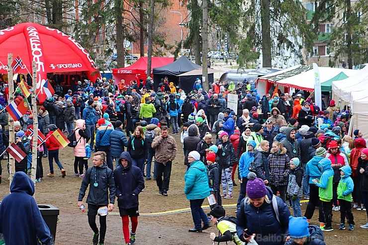 Ogres Zilo kalnu trases sniegā un lietū 15.04.2017 izskrien «Stirnubuks» susuri, vāveres, zaķi, stirnubuki un lūši 195287