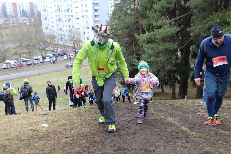 Ogres Zilo kalnu trases sniegā un lietū 15.04.2017 izskrien «Stirnubuks» susuri, vāveres, zaķi, stirnubuki un lūši Ogres Zilo kalnu trases sniegā un lietū 15.04.2017 izskrien «Stirnubuks» susuri, vāveres, zaķi, stirnubuki un lūši 195320