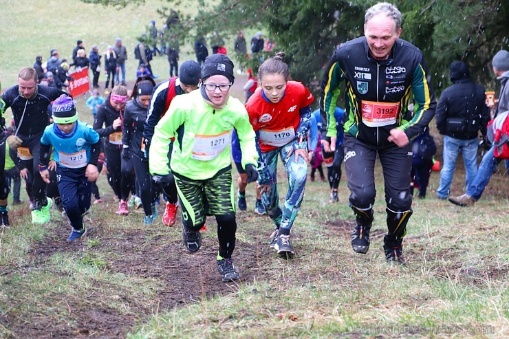 Ogres Zilo kalnu trases sniegā un lietū 15.04.2017 izskrien «Stirnubuks» susuri, vāveres, zaķi, stirnubuki un lūši 195322