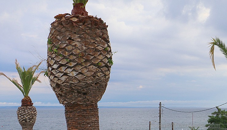 Travelnews.lv kopā ar tūroperatoru «Mouzenidis Travel Latvija» iepazīst Halkidiki viesnīcu «Cronwell Resort Sermilia» Grieķijā Travelnews.lv kopā ar tūroperatoru «Mouzenidis Travel Latvija» iepazīst Halkidiki viesnīcu «Cronwell Resort Sermilia» Grieķijā 199900