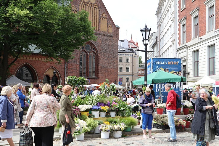 Zāļu tirgus Doma laukumā pulcē gan līksmos rīdziniekus, gan ziņkārīgos ārzemniekus 200658