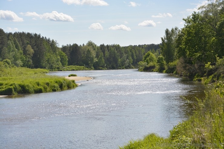 Valmiera tērpjas vasaras ziedu rotās 200865