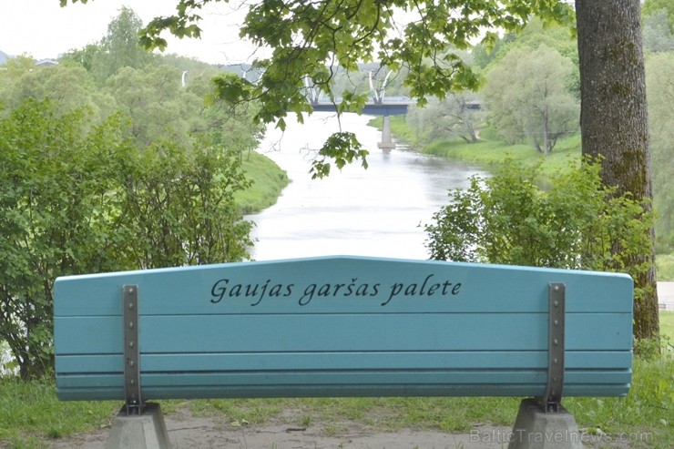 Valmiera tērpjas vasaras ziedu rotās 200870