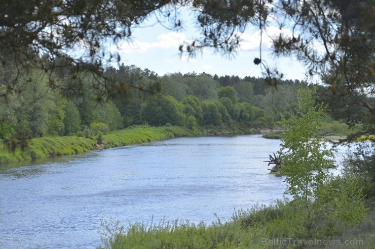 Valmiera tērpjas vasaras ziedu rotās 200874