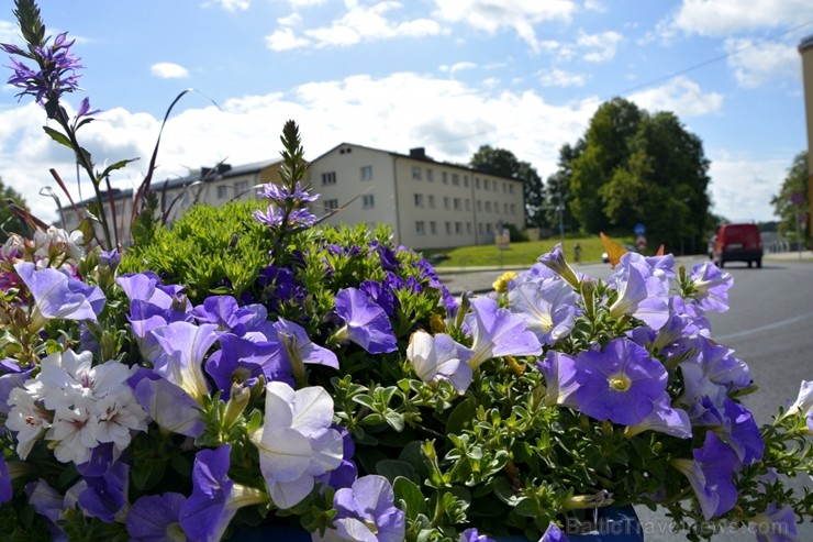 Valmiera tērpjas vasaras ziedu rotās 200880