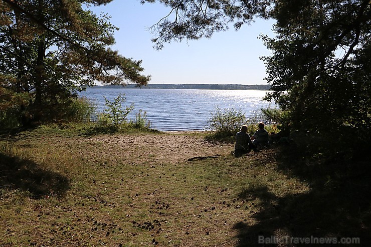 Rudens ražas svētkus svin Latvijas Etnogrāfiskais brīvdabas muzejā 207684
