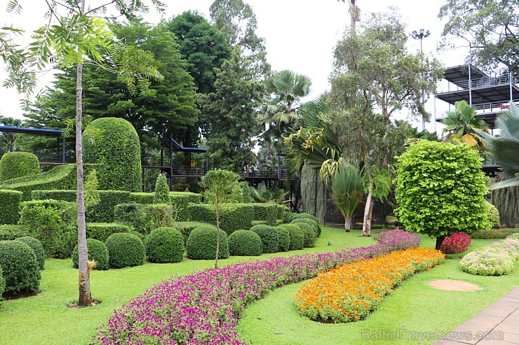 Travelnews.lv kopā ar «365 brīvdienas» un «Turkish Airlines» iepazīst tropu botānisko dārzu «Nong Nooch Tropical Garden» Travelnews.lv kopā ar «365 brīvdienas» un «Turkish Airlines» iepazīst tropu botānisko dārzu «Nong Nooch Tropical Garden» 208864