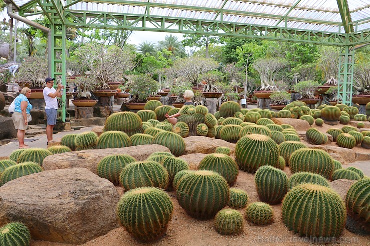 Travelnews.lv kopā ar «365 brīvdienas» un «Turkish Airlines» iepazīst tropu botānisko dārzu «Nong Nooch Tropical Garden» Travelnews.lv kopā ar «365 brīvdienas» un «Turkish Airlines» iepazīst tropu botānisko dārzu «Nong Nooch Tropical Garden» 208917