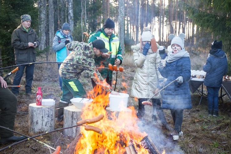 Izvēlētas Rīgas galvenās Ziemassvētku egles 211348