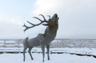 Ventspils «Lemberga hūtē» bauda sniegu, bet gaida salu, lai tas varētu noturēties 1