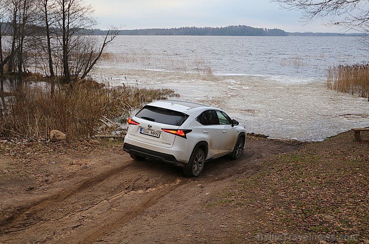 Travelnews.lv ar jauno krosoveru Lexus NX 300H ceļo uz Ungurmuižu 213007