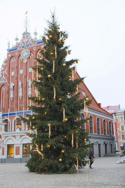 Līdz šīs nedēļas beigām vēl var steigt apskatīt Rīgas skaistās egles. 214474