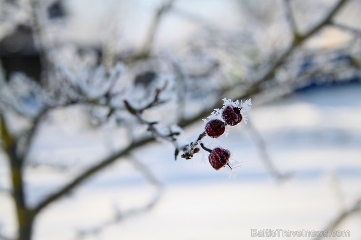 Travelnews.lv aicina baudīt pēdējos ziemas mirkļus 218091