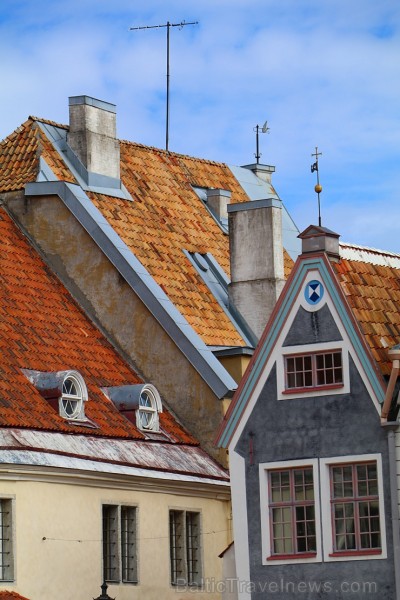 Travelnews.lv kopā ar Tallinas tūristiem iepazīst Igaunijas galvaspilsētu. Atbalsta: Hotel Schlössle Travelnews.lv kopā ar Tallinas tūristiem iepazīst Igaunijas galvaspilsētu. Atbalsta: Hotel Schlössle 221338