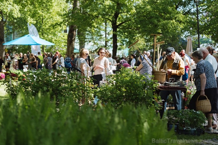 Jelgavas pilsētā notiek Latvijas Stādu dienas 222787