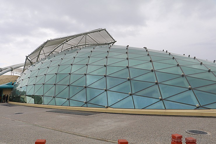 Travelnews.lv apmeklē Konjas taureņu māju «Konya Tropical Butterfly Garden». Atbalsta: Turkish Airlines Travelnews.lv apmeklē Konjas taureņu māju «Konya Tropical Butterfly Garden». Atbalsta: Turkish Airlines 223731