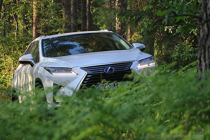 Travelnews.lv ar jauno 7-vietīgo «Lexus RX 450hL» apceļo Jelgavu, Jūrmalu, Talsus un Rīgu 224727