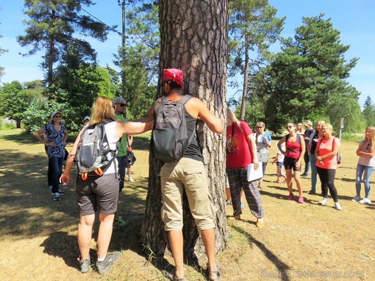Pārgājienā Salaspilī  tiek iepazīta Doles sala 225539