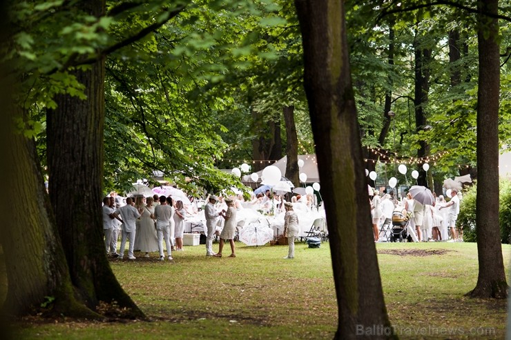Jau ceturto gadu Rīgā notiek baltais pop-up pikniks «L’elegante Pop-Up Picnic» 227907